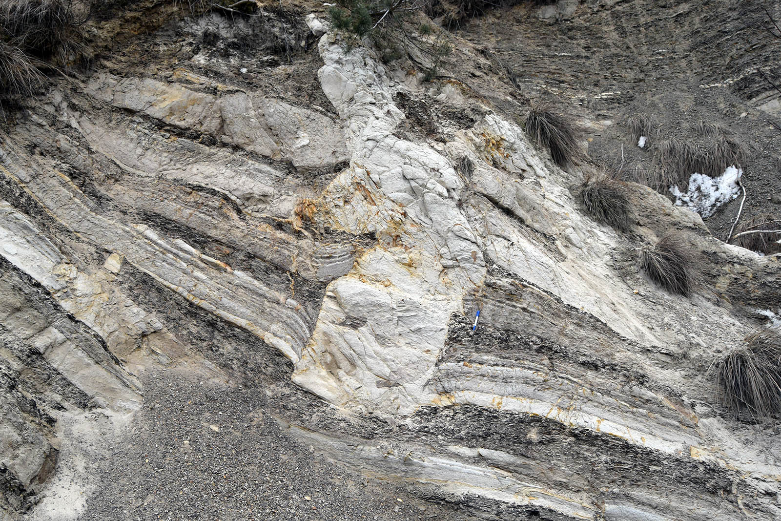 Folded and back-thrusted Kliwa sandstones interbedded with dysodiles at the Colți outcrop.