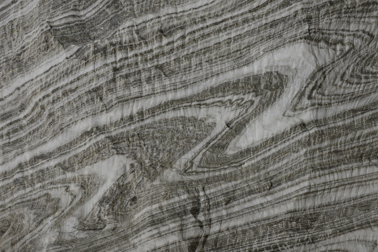 Multiscale chevron folds in layered, impure rock salt — Ocnele Mari salt mine.